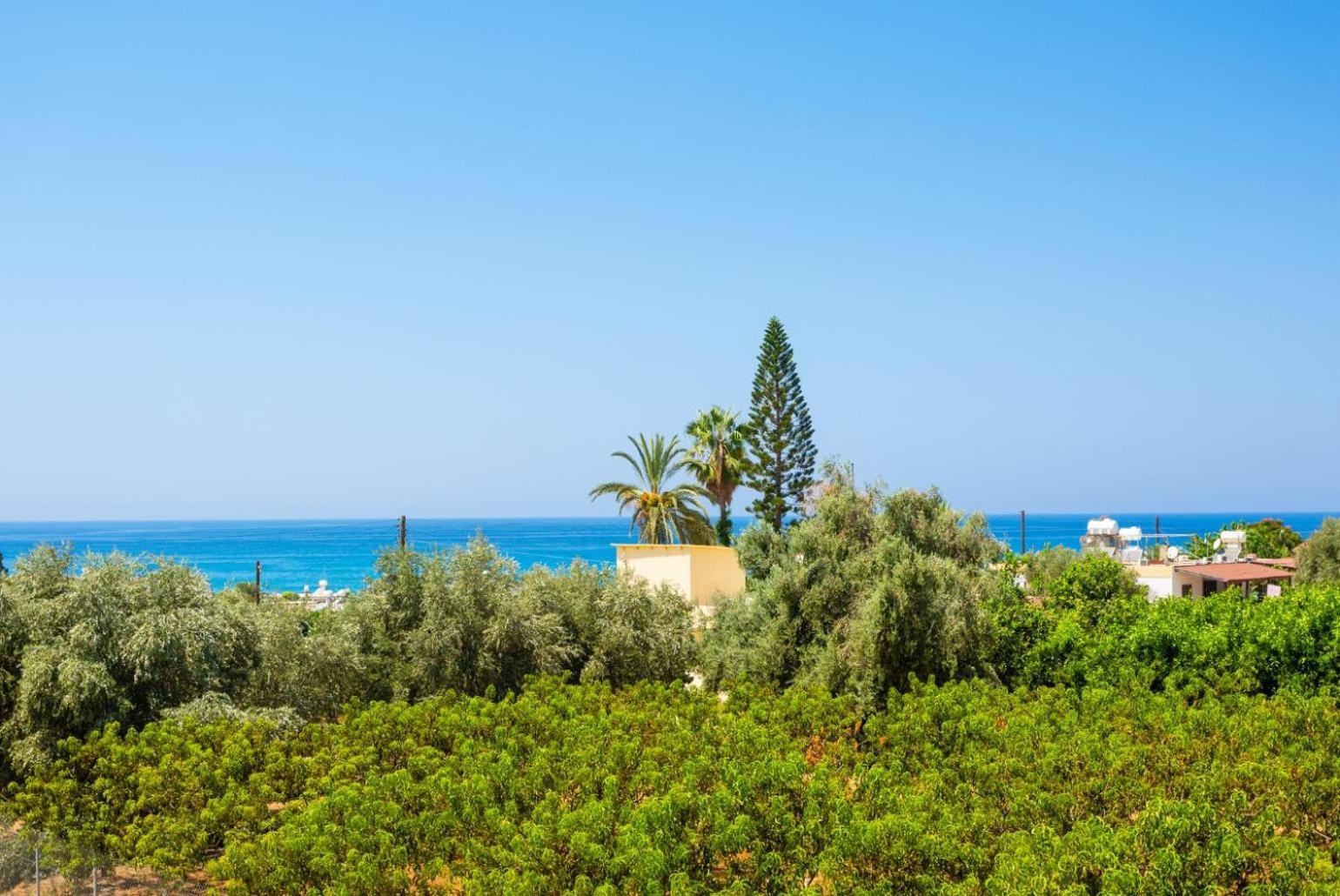 Villa Olivetta Kato Yialia Экстерьер фото