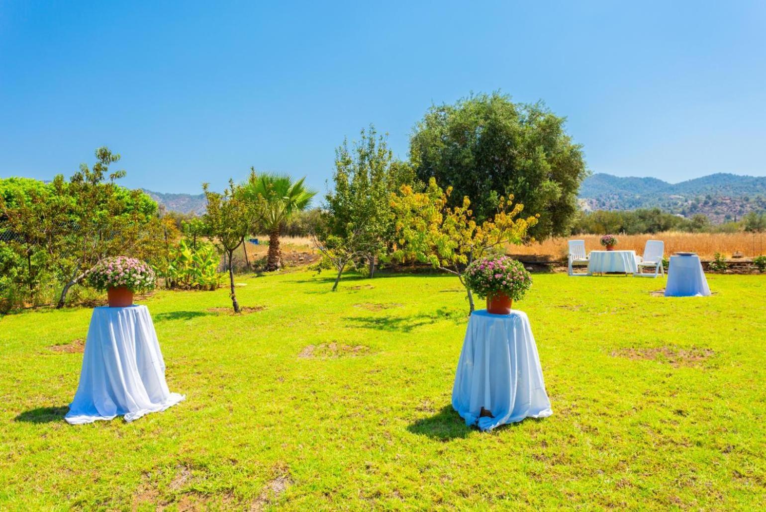 Villa Olivetta Kato Yialia Экстерьер фото